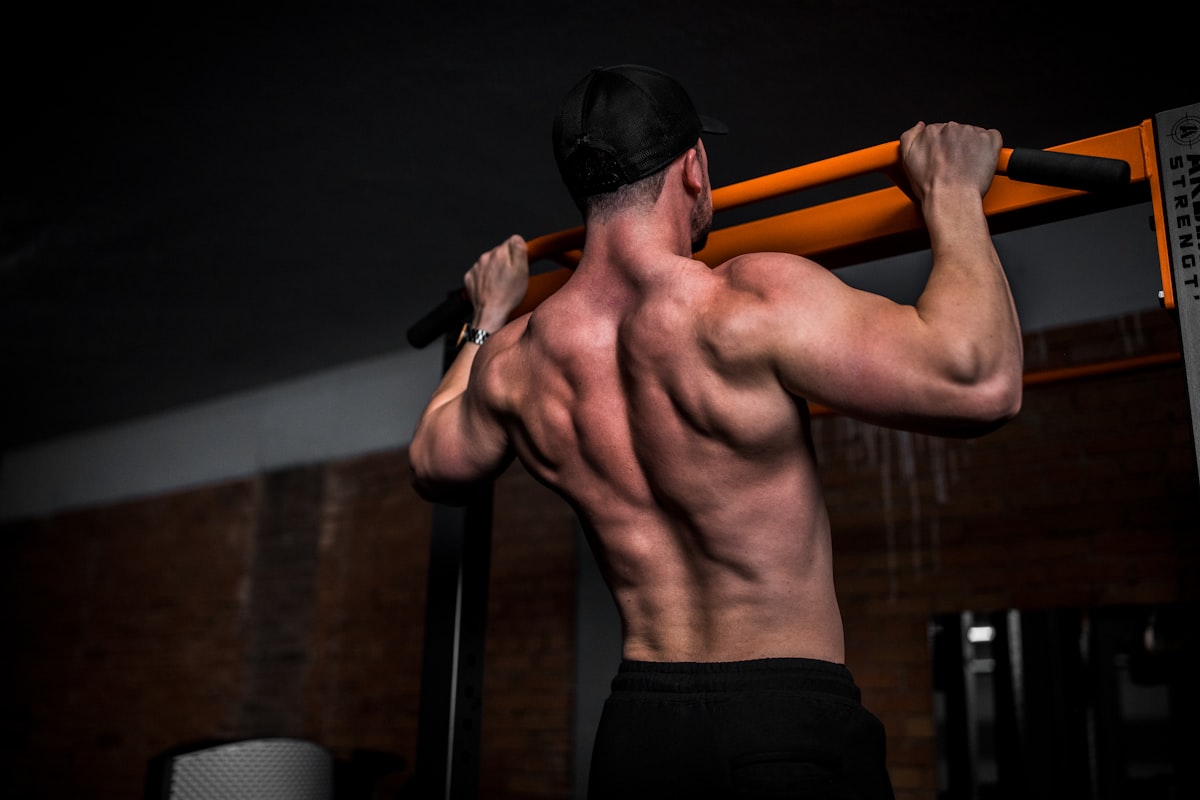 Muscle hypertrophy and recovery optimization